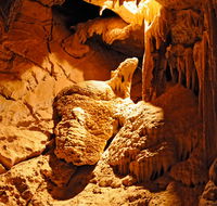 Fig Tree Cave - Accommodation Sydney