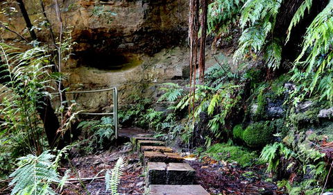 Gordon Falls Lookout And Picnic Area - Sydney 4u 2