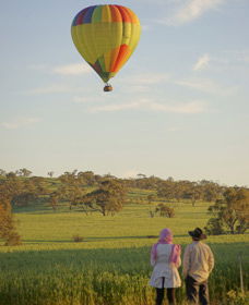 Avon Valley National Park - Accommodation Sydney 1