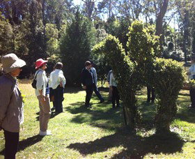 Wildwood Garden - Sydney Resort 3