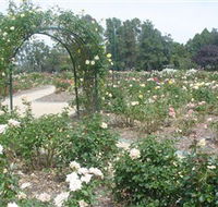 Victoria Park Rose Garden - Accommodation Sydney