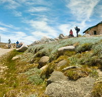 Mount Kosciuszko Summit walk - Accommodation Sydney