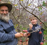 Pine Crest Orchard - Accommodation Sydney