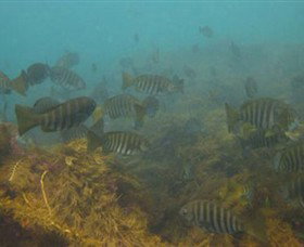 Cape Paterson VIC Sydney Resort