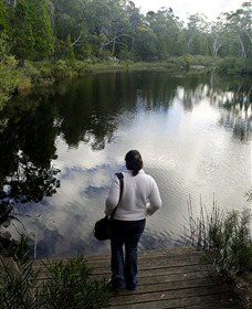 Boonoo Boonoo Falls National Park - Sydney 4u 1