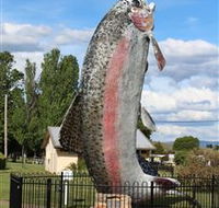 Big Trout - Accommodation Sydney