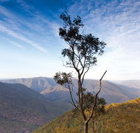 Salisbury Waters walking track - Accommodation Sydney