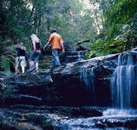 South Lawson Waterfall Circuit - Accommodation Sydney