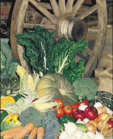 Mulgowie QLD Accommodation Sydney