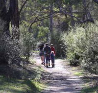 Syd's Rapids and Aboriginal Heritage Trail Avon Valley - Sydney 4u
