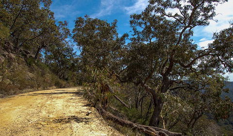 Parr State Conservation Area - Sydney 4u 0