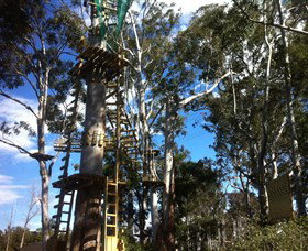 Trees Adventure Grose River Park - Sydney Resort 1