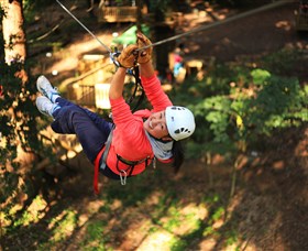 Trees Adventure Grose River Park - Sydney Resort 0