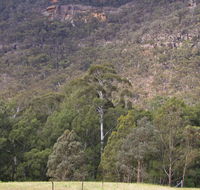 Bangadilly National Park - Accommodation Sydney