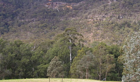 Bangadilly National Park - Accommodation Sydney 0