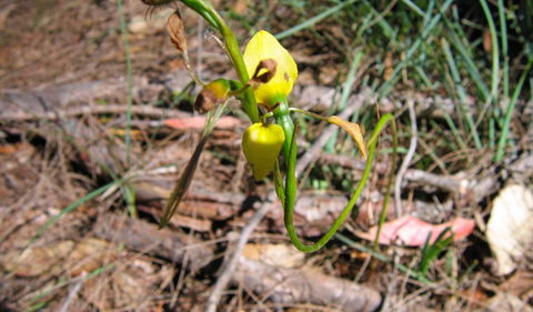 Bangadilly National Park - Accommodation Sydney 2