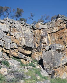 Badgingarra Nature Trail - Accommodation Sydney 0