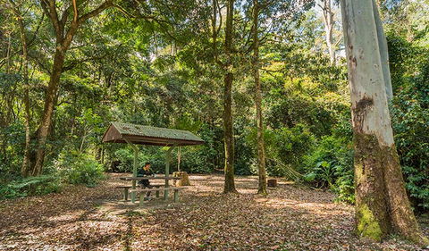 Tooloom National Park - Accommodation Sydney 0