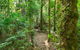 Tooloom National Park - thumb 2