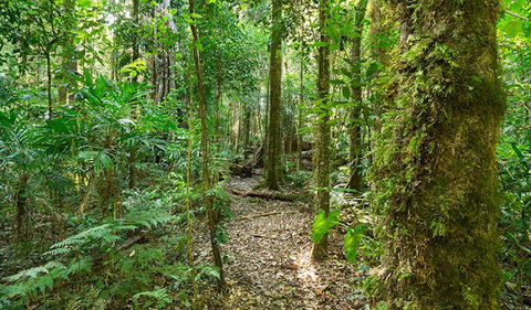 Tooloom National Park - Accommodation Sydney 2