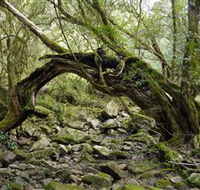 Mitchell River National Park - Accommodation Sydney