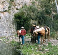 Yarramba Horse Riding - Accommodation Sydney