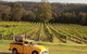 Wollombi Wines - thumb 2