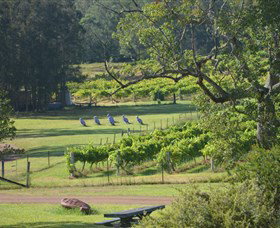 Wollombi Wines - Sydney Resort 8