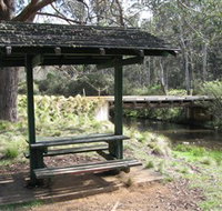 Barrington Tops State Forest - Accommodation Sydney
