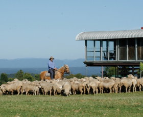 Tobruk Sydney - Sydney Resort 0