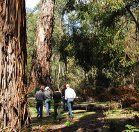 Tallaganda National Park - Accommodation Sydney