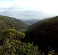 Nattai Gorge Lookout - Accommodation Sydney