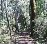 Box Vale Mine Walking Track and Lookout - Accommodation Sydney
