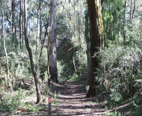 Box Vale Mine Walking Track And Lookout - Sydney 4u 0