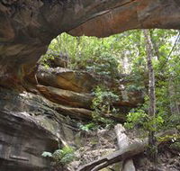 Cave Creek Walking Track - Accommodation Sydney