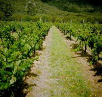 Gartelmann Wines - Accommodation Sydney
