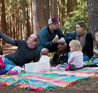 State Forests of the Watagan Mountains - Accommodation Sydney