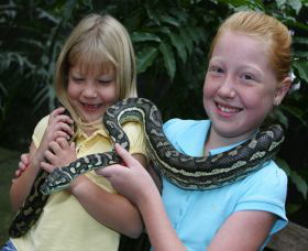 Featherdale Wildlife Park - Accommodation Sydney 2