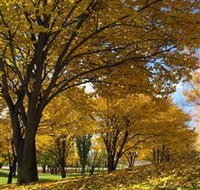 Centennial Park at Cooma - Accommodation Sydney