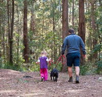 Olney State Forest - Watagan Mountains - Sydney 4u