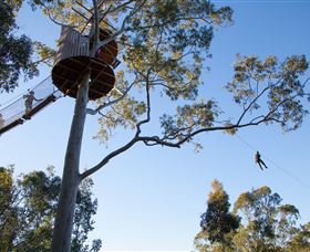 TreeTop Safari - Accommodation Sydney 3
