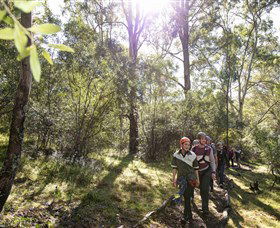 TreeTop Safari - Accommodation Sydney 4