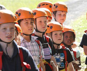 TreeTop Adventure Park Sydney - Accommodation Sydney 2