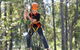 TreeTop Adventure Park Sydney - thumb 1