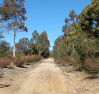 Werakata National Park - Accommodation Sydney