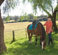 Sugarloaf Horse Centre - Accommodation Sydney