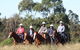 Sydney Trail Riding Centre - thumb 0