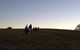 Sydney Trail Riding Centre - thumb 3