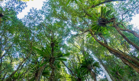 Hidden Treasure Track - Accommodation Sydney 2