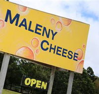 Maleny Cheese